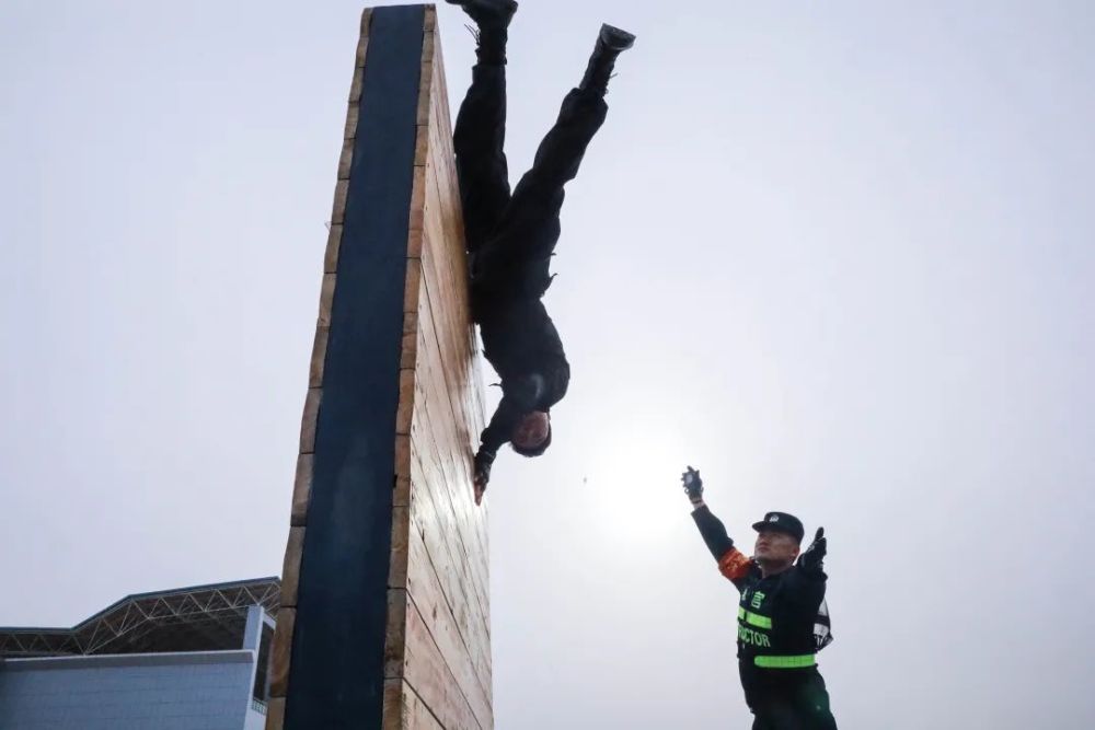 爱尔兰队员顽强拼搏,赢得分组第二的简单介绍 爱尔兰队员顽强拼搏,赢得分组第二的简单介绍