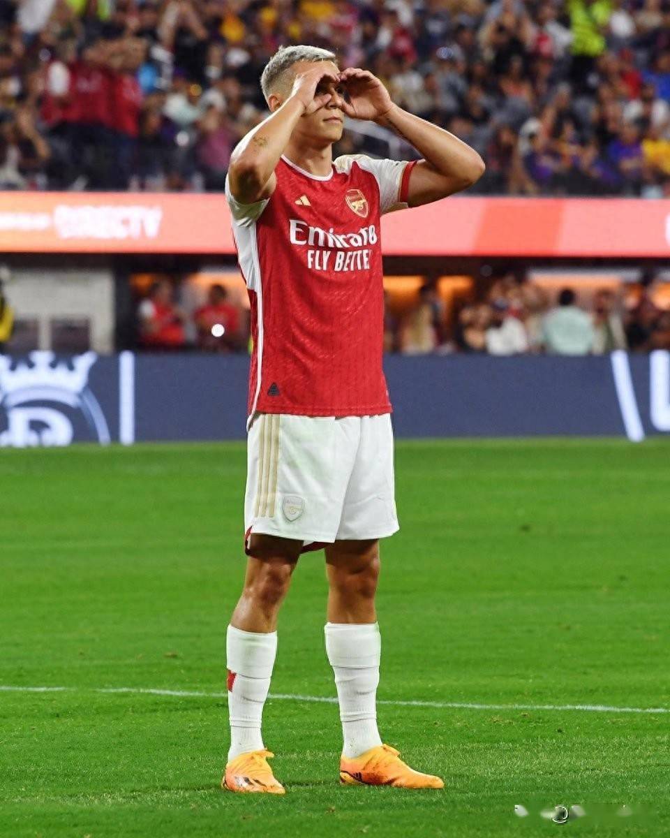 爱游戏网页版-包含埃弗顿夺得关键胜利，稳居中游，形势乐观的词条