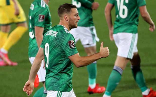 爱游戏在线-爱尔兰队再负对手，出线形势雪上加霜的简单介绍